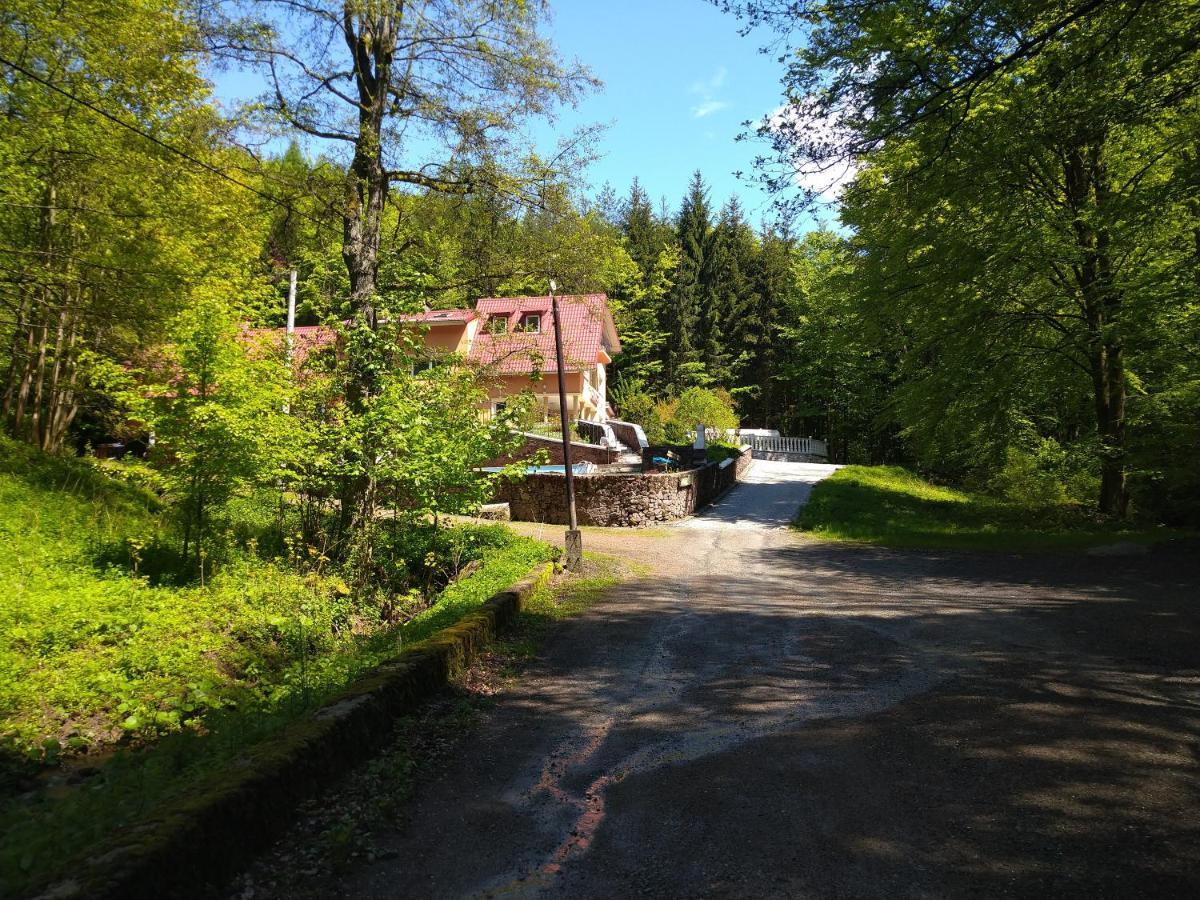 Dworek Lesny Kudowa-Zdroj Dış mekan fotoğraf