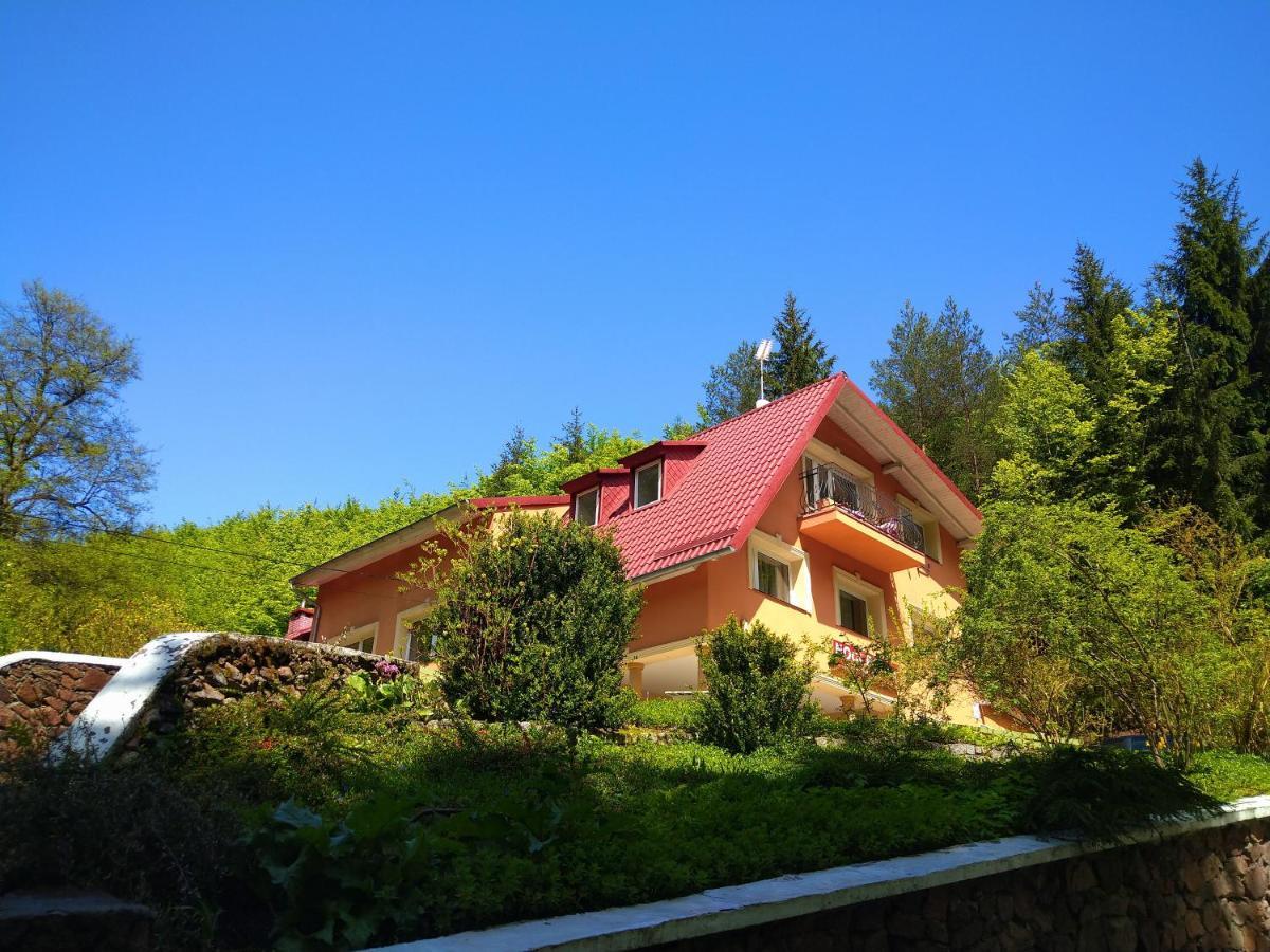 Dworek Lesny Kudowa-Zdroj Dış mekan fotoğraf